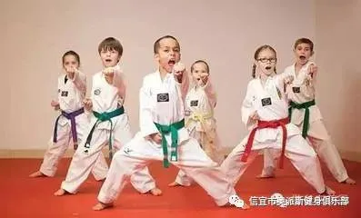 绳梯训练篮球_2