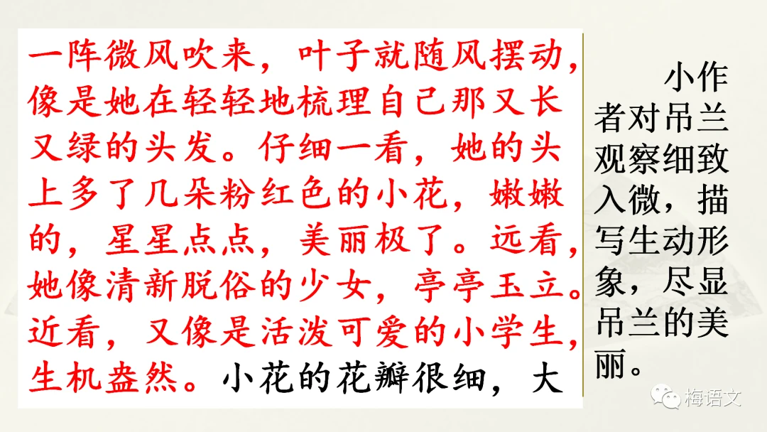 制定篮球交流计划以促进个人技能发展的方法_1